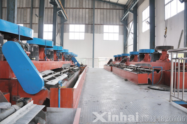 100t/d金矿浮选项目